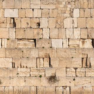Wailing Wall Jerusalem wallpaper