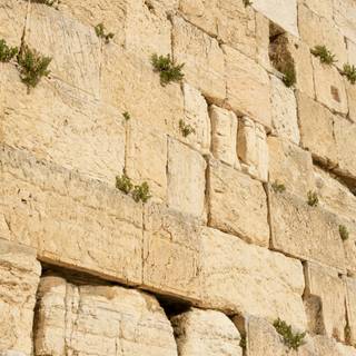 Wailing Wall Jerusalem wallpaper