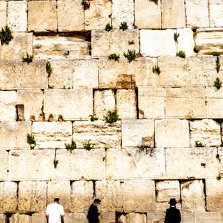 Wailing Wall Jerusalem wallpaper