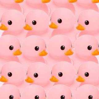 Pink duck wallpaper