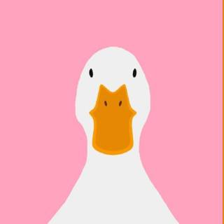 Pink duck wallpaper