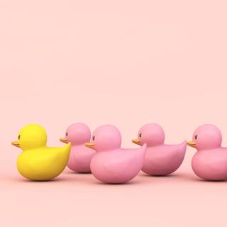 Pink duck wallpaper