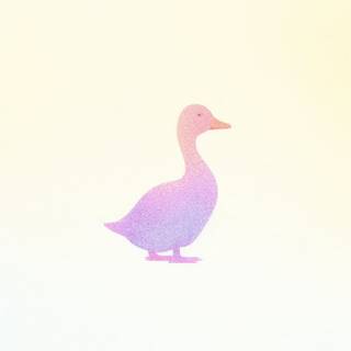 Pink duck wallpaper