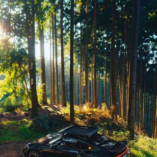 Porsche landscape wallpaper