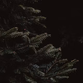 Dark Christmas iPhone wallpaper