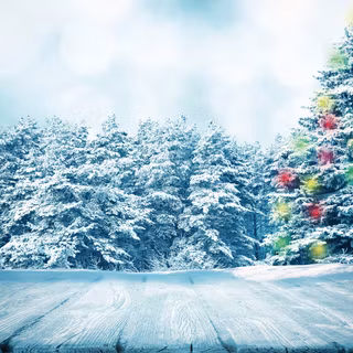 Outside Christmas tree wallpaper