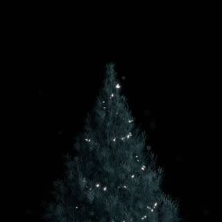Christmas tree black wallpaper