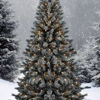 Outside Christmas tree wallpaper