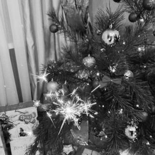 Christmas tree black wallpaper