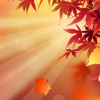 Abstract autumn Mac wallpaper