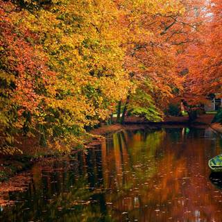 Abstract autumn Mac wallpaper