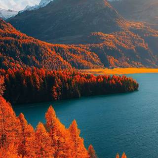 Autumn lake aesthetic wallpaper