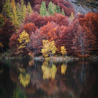 Autumn lake aesthetic wallpaper