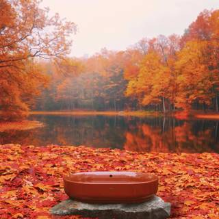 Autumn lake aesthetic wallpaper