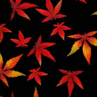 Abstract autumn Mac wallpaper