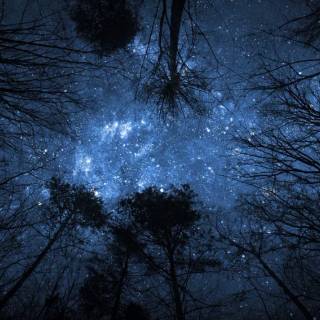 Dark winter sky night wallpaper