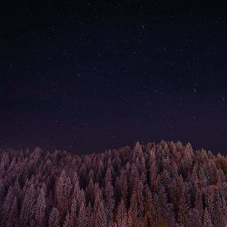 Dark winter sky night wallpaper