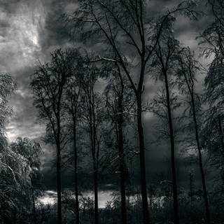 Dark winter sky night wallpaper