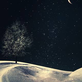 Dark winter sky night wallpaper