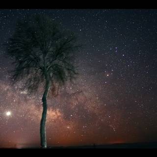 Dark winter sky night wallpaper