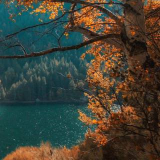 Autumn lake aesthetic wallpaper