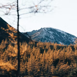 Autumn lake aesthetic wallpaper