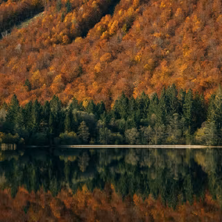 Autumn lake aesthetic wallpaper