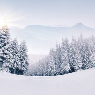 Good vibes winter wallpaper