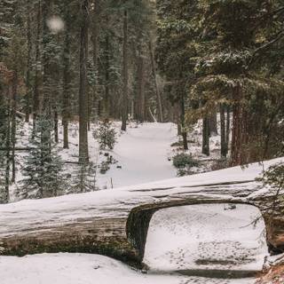 Good vibes winter wallpaper