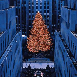 Manhattan Christmas wallpaper