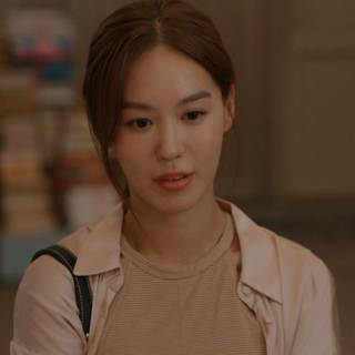 Shin's Project wallpaper