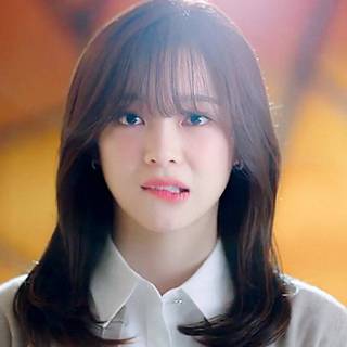 Shin's Project wallpaper