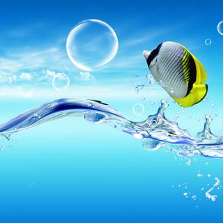 Frutiger Aero 1920x1080 wallpaper