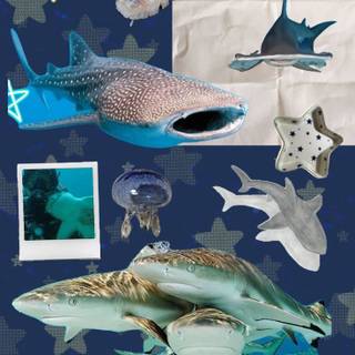 Sharks core wallpaper