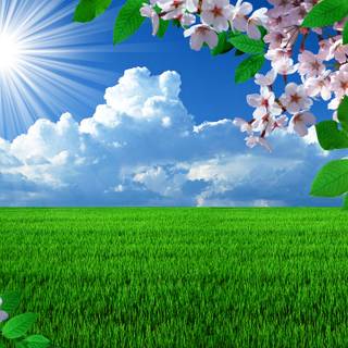 Windows 7 spring wallpaper