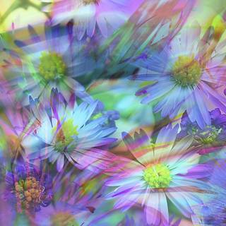 Windows 7 spring wallpaper