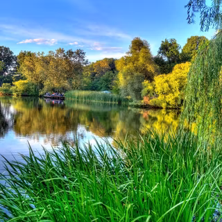 Windows 7 spring wallpaper