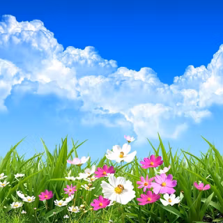 Windows 7 spring wallpaper