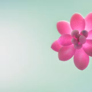 Windows 7 spring wallpaper