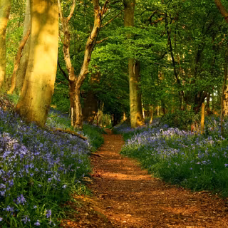 Windows 7 spring wallpaper