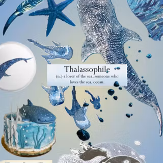 Sharks core wallpaper