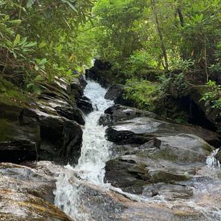 Windows 7 spring wallpaper