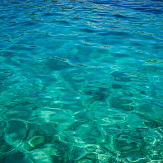 Greenish blue wallpaper