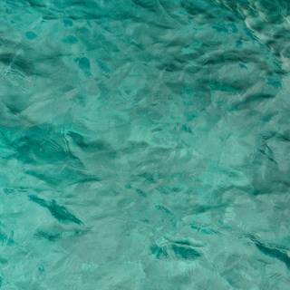 Greenish blue wallpaper