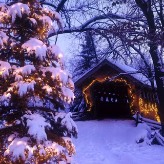 Christmas lights Macbook wallpaper