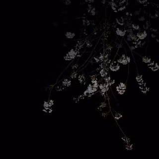 Black and white Japanese wallpaper