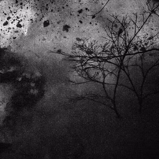 Black and white Japanese wallpaper