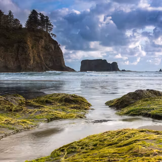 Washington coast wallpaper