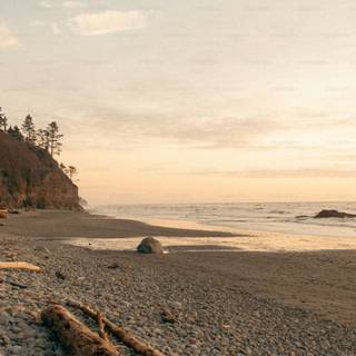 Washington coast wallpaper