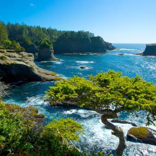 Washington coast wallpaper